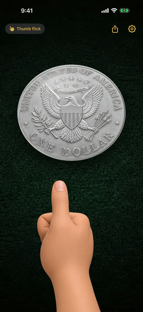 Flip showing a coin in the air during a toss